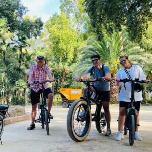 Tour Express Sevilla en eBike