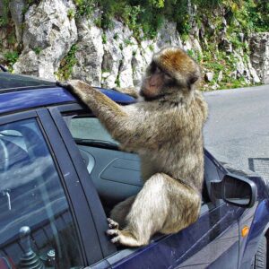 Excursión Privada Personalizada A TU MEDIDA desde Sevilla